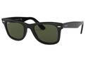 RAYBAN WAYFARER