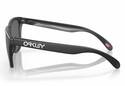 OAKLEY FROGSKINS