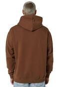 VOLCOM FA ARTHUR LONGO PULLOVER HOOD