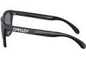 OAKLEY FROGSKINS RANGE 