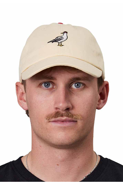 JUST ANOTHER FISHERMAN GULL CAP